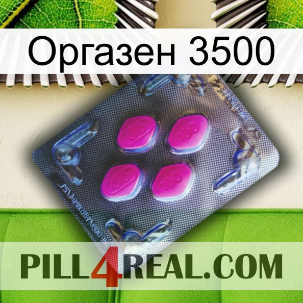 Оргазен 3500 02.jpg